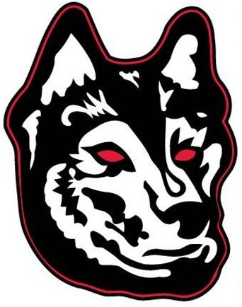 Northeastern Huskies 2007-Pres Alternate Logo v2 iron on transfers for T-shirts